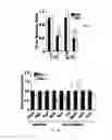 Fig. 25 - Methods for diagnosing and treating oncogenic kras-associated cancer