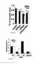 Fig. 26 - Methods for diagnosing and treating oncogenic kras-associated cancer
