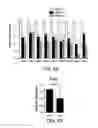 Fig. 32 - Methods for diagnosing and treating oncogenic kras-associated cancer