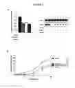 Fig. 06 - MicroRNAs and Uses Thereof