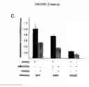 Fig. 07 - MicroRNAs and Uses Thereof