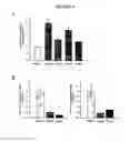 Fig. 08 - MicroRNAs and Uses Thereof
