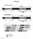 Fig. 09 - MicroRNAs and Uses Thereof