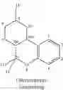 Fig. 02 - Transdermal cannabinoid formulations