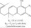 Fig. 09 - Transdermal cannabinoid formulations