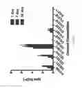 Fig. 43 - Germanium-based glass polyalkenoate cement
