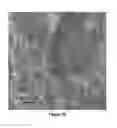 Fig. 33 - Alkyl ester polystyrene blends for use in concrete