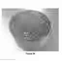 Fig. 37 - Alkyl ester polystyrene blends for use in concrete
