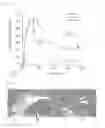 Fig. 02 - Hydrogel-forming composition and hydrogel produced from the same