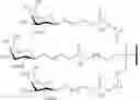 Fig. 136 - Conjugated antisense compounds and their use