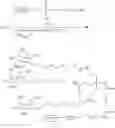 Fig. 656 - Conjugated antisense compounds and their use