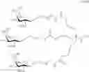 Fig. 746 - Conjugated antisense compounds and their use