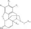 Fig. 07 - Convenient preparation of N-substituted morphinan-6-ols from morphinan-6-ones