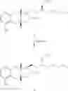 Fig. 45 - Process for the preparation of treprostinil and derivatives thereof
