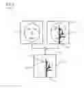 Fig. 03 - Angiographic Examination Method for the Detection of Microembolizations