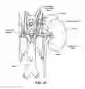Fig. 23 - Catheter Apparatuses Having Expandable Mesh Structures for Renal Neuromodulation and Associated Systems and Methods