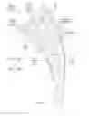 Fig. 06 - Device for extraction of prosthetic implants