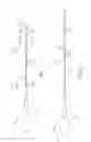 Fig. 08 - Balloon Catheter Having a Pre-Positioned Refold Tool