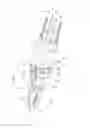 Fig. 02 - Endoscopic instrument