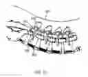 Fig. 07 - Bone screw of minimally invasive fixation device for lumbar