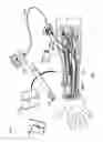 Fig. 02 - High efficiency magnetic link for implantable devices