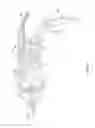Fig. 05 - Cold plasma treatment devices and associated methods