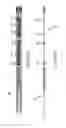 Fig. 20 - PROSTHESIS AND DELIVERY SYSTEM