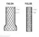 Fig. 03 - Stent graft