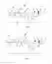 Fig. 08 - Catheter system for introducing an expandable heart valve stent into the body of a patient