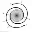Fig. 01 - Intraocular lens having helical haptics of shape memory