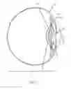 Fig. 06 - Prosthetic implant devices