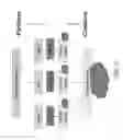 Fig. 19 - METHODS AND SYSTEMS FOR CLOUD-BASED MEDICAL DATABASE MANAGEMENT