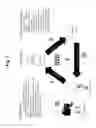 Fig. 08 - Systems and methods to accommodate multi-party business relationships