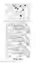 Fig. 64 - Communication Network System and Service Provider