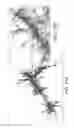 Fig. 12 - Systems and methods for metric data smoothing