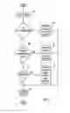 Fig. 08 - Plural architecture master data management with supplemental attributes