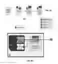 Fig. 06 - Apparatus and method for secure provisioning of a communication device