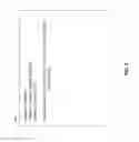 Fig. 08 - GENERATING CUSTOM SEQUENCES OF VIDEO STREAMS