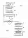 Fig. 20 - Viewing full screen applications in a sharing session