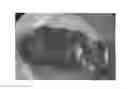 Fig. 01 - Pepper 'E20B3751'