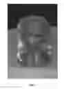 Fig. 03 - Pepper 'E20B3751'