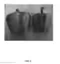 Fig. 04 - Pepper 'E20B3751'