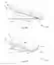 Fig. 25 - Automatic Patient Turning and Lifting Method, System, and Apparatus