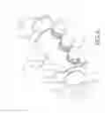 Fig. 06 - Microwave vacuum-drying of organic materials