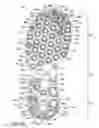 Fig. 06 - Articulated sole structure with sipes forming hexagonal sole elements
