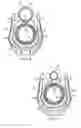 Fig. 06 - Forend for a pump action firearm
