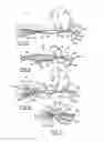 Fig. 05 - SPINNER FISHING LURE