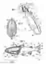 Fig. 02 - FISHING LURE WITH VORTEX TAIL