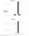 Fig. 03 - Purified air discharge device
