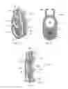 Fig. 13 - Diesel engine fluid coolant system having a solenoid-powered gate valve